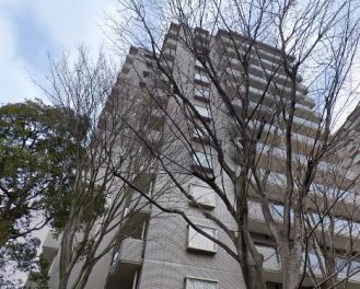 パークハウス多摩川南四番館